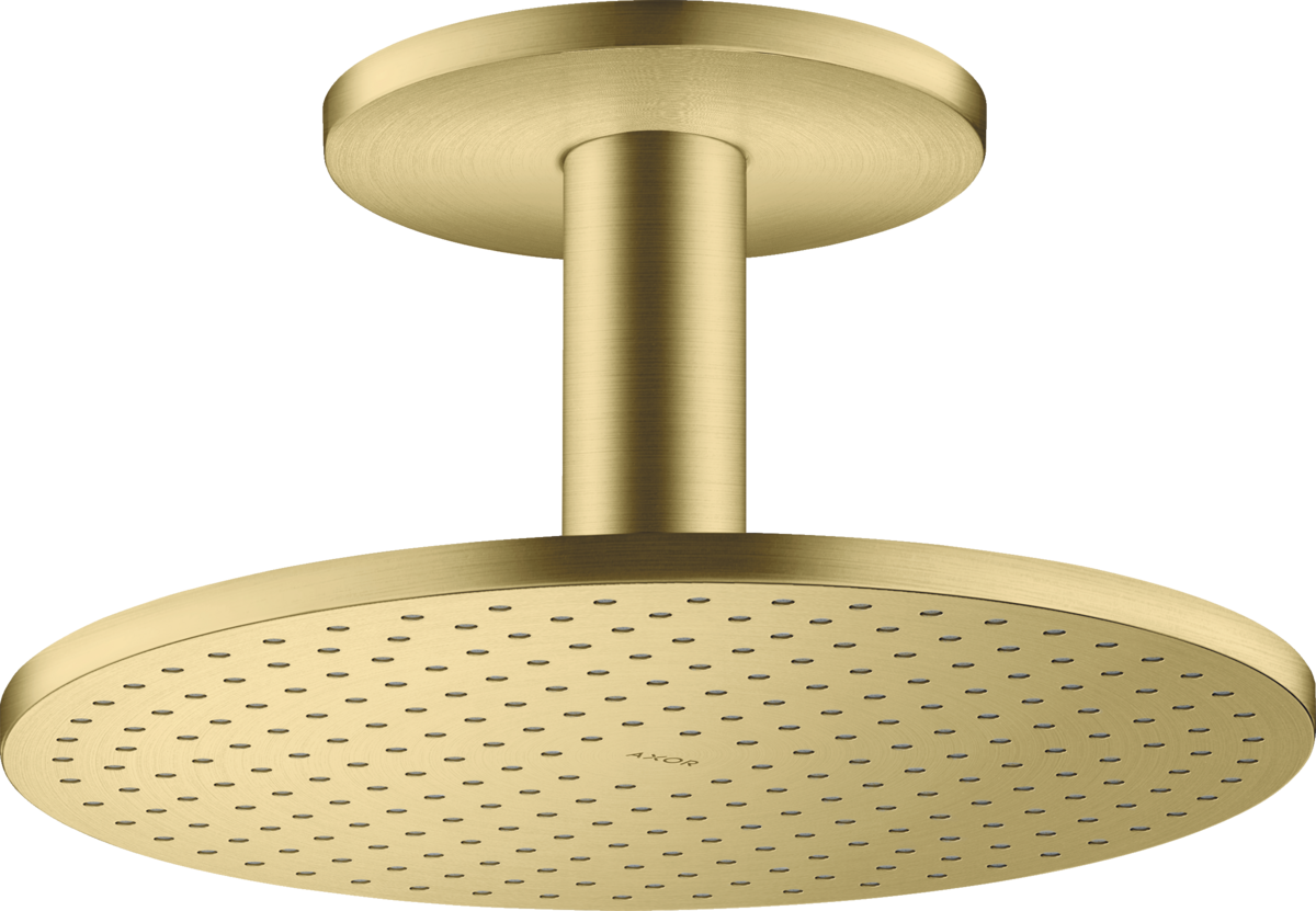 Overhead shower 300 2jet with ceiling connection