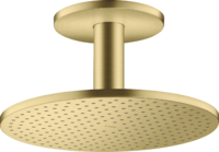 hoofddouche 300 2jet met plafondaansluiting