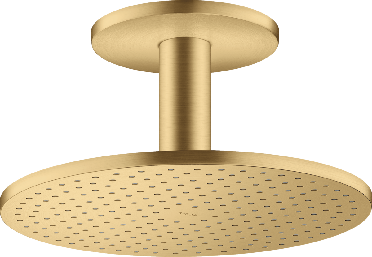 Overhead shower 300 2jet with ceiling connection