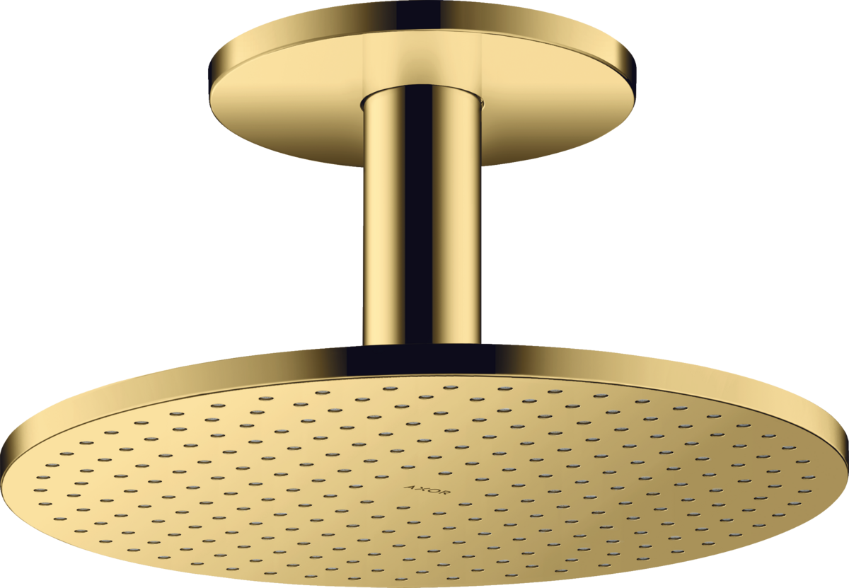 Overhead shower 300 2jet with ceiling connection