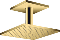 hoofddouche 250/250 2jet met plafondaansluiting
