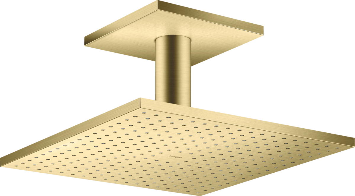 Overhead shower 300/300 1jet with ceiling connection