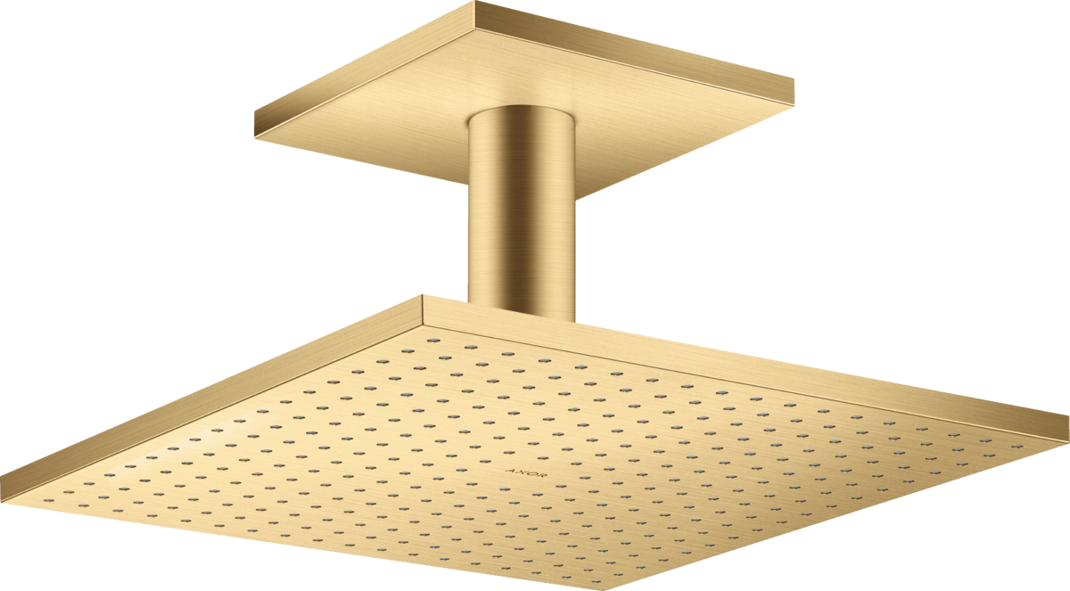 Ducha fija 300/300 2jet con conexión a techo