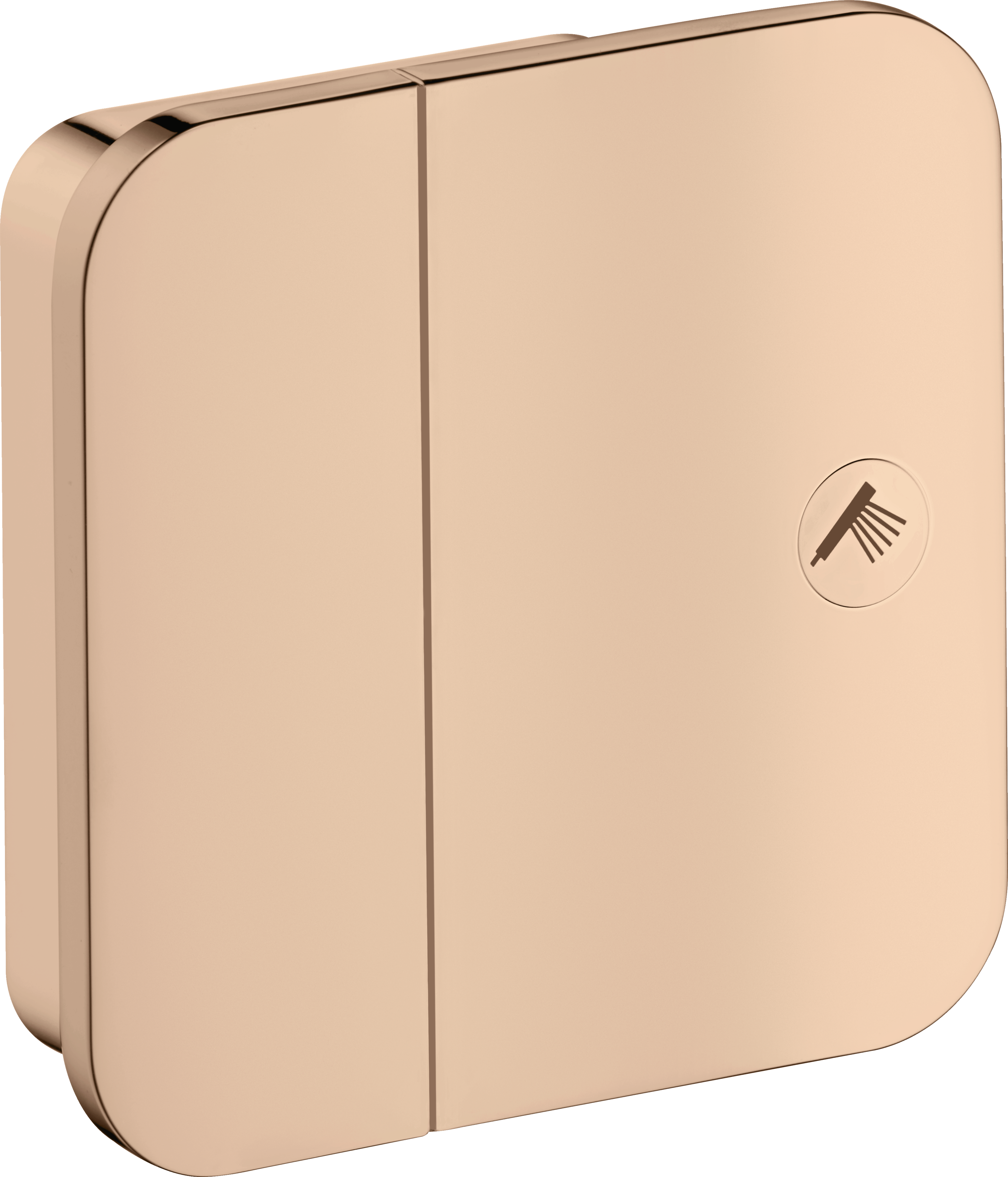 product.image.alt