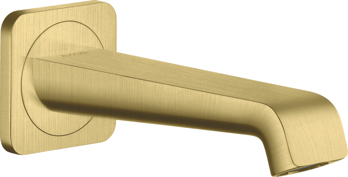 Bath spout