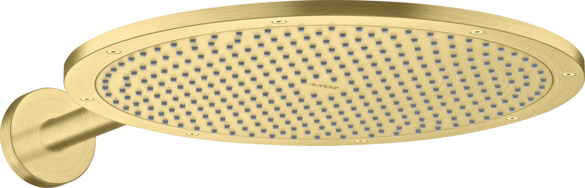 Kopfbrause 350 1jet mit Brausearm