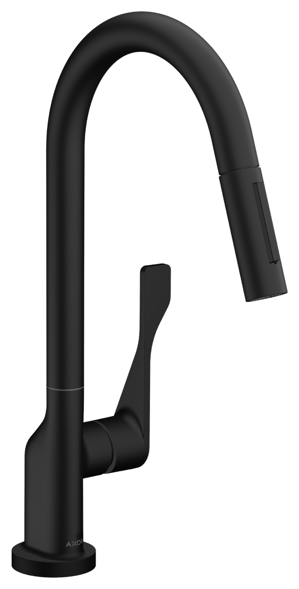 Single lever kitchen mixer 250 with pull-out spray EcoSmart