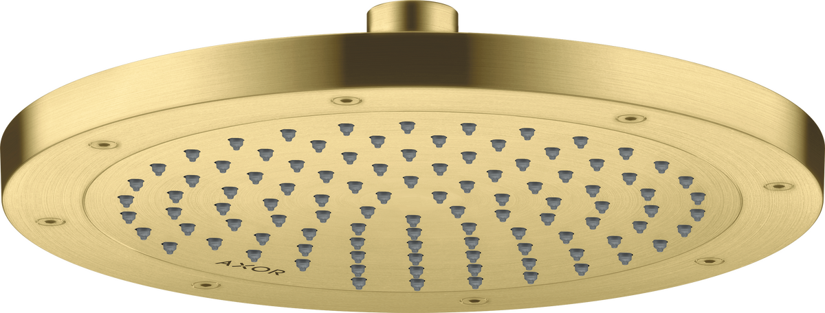 Overhead shower 245 1jet EcoSmart