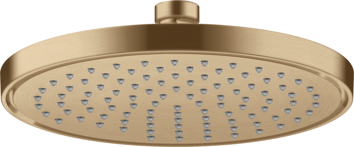 Overhead shower 220 1jet EcoSmart
