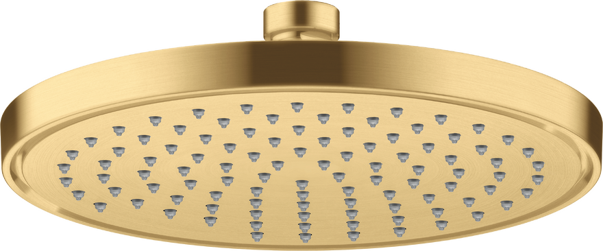 Kopfbrause 220 1jet EcoSmart