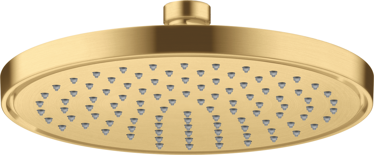Overhead shower 220 1jet EcoSmart
