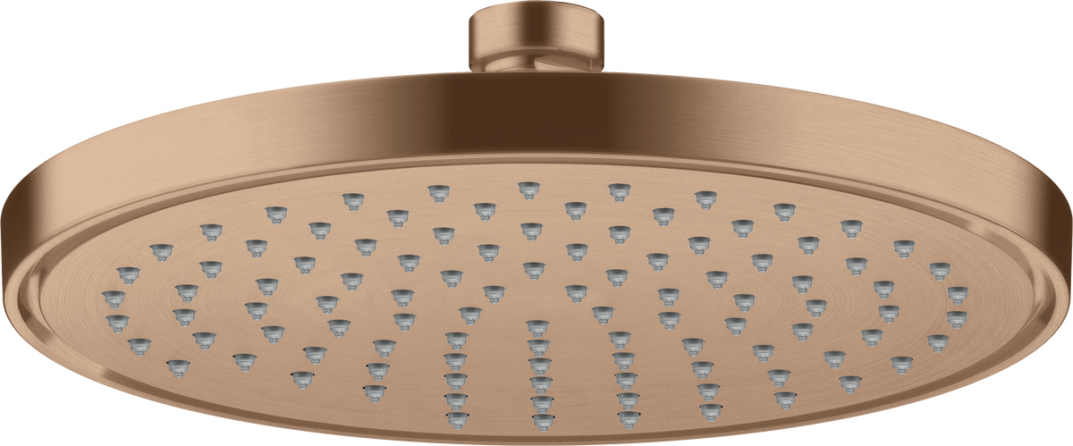 Overhead shower 220 1jet EcoSmart