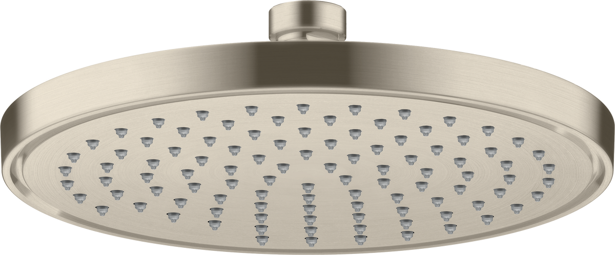 Overhead shower 220 1jet EcoSmart