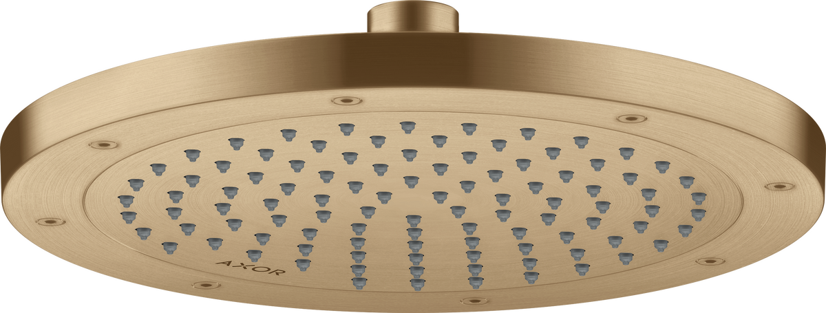 Overhead shower 245 1jet EcoSmart+