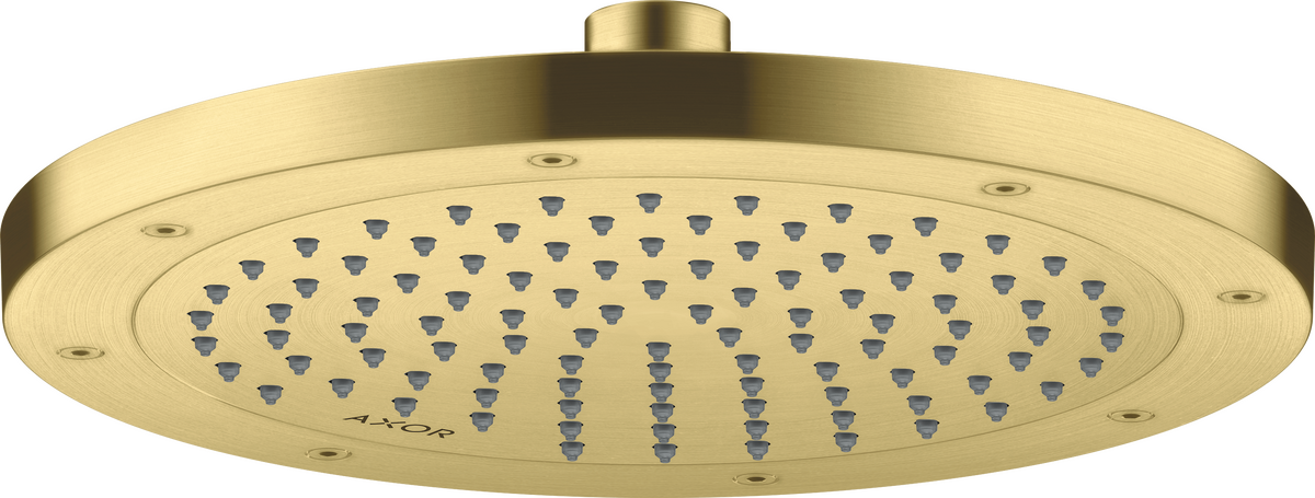 Overhead shower 245 1jet EcoSmart+