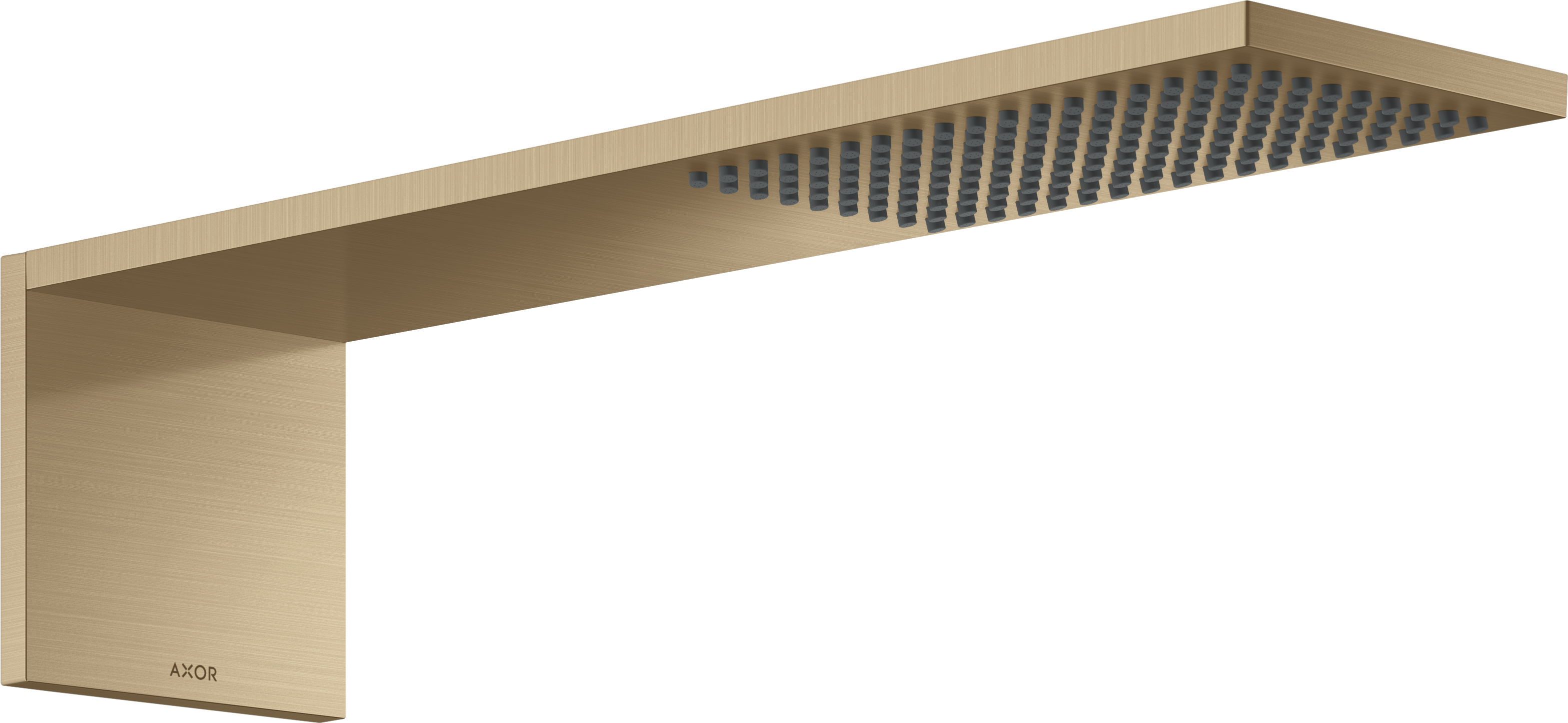 Overhead shower module 110/220 1jet