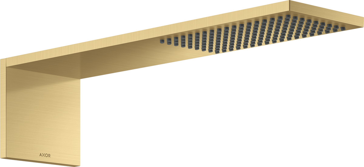 Overhead shower module 110/220 1jet