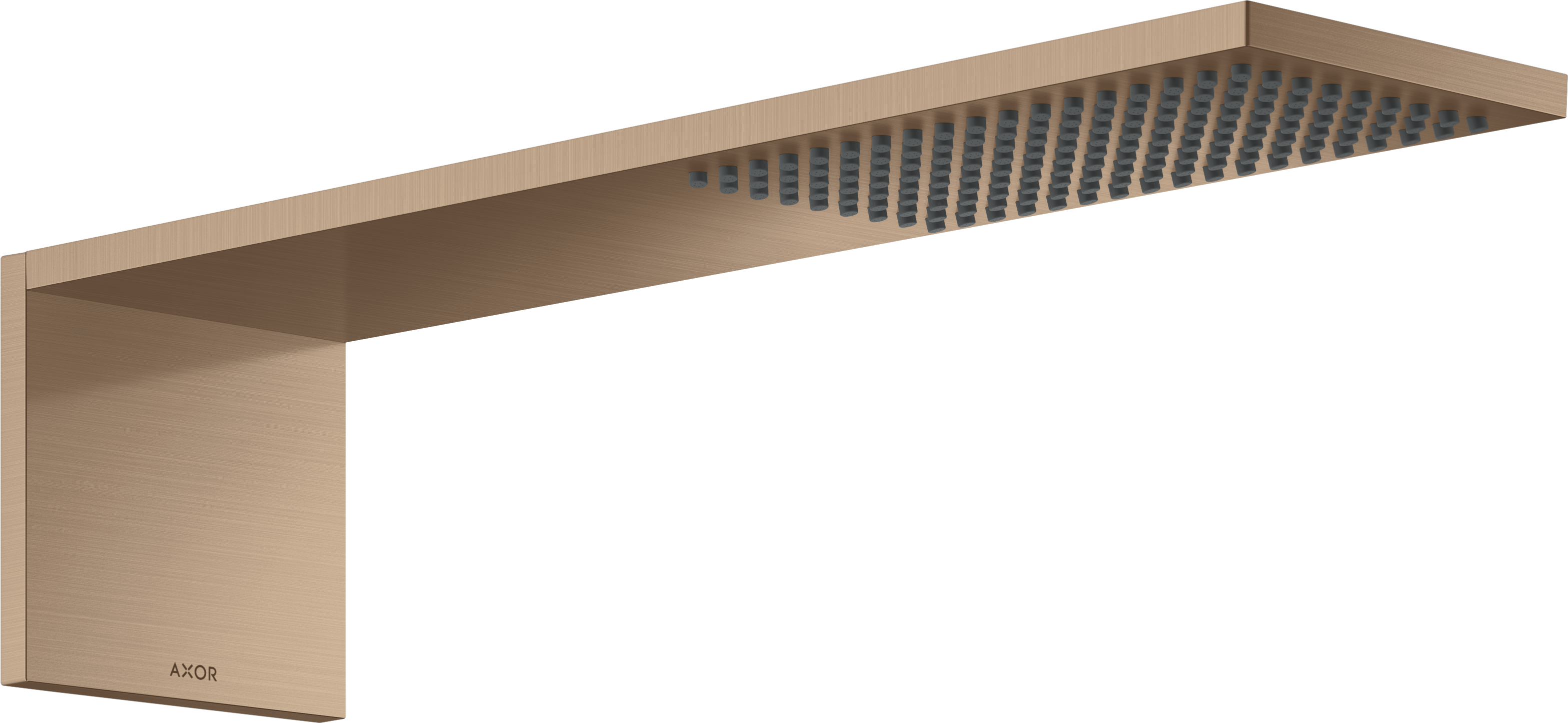 Overhead shower module 110/220 1jet