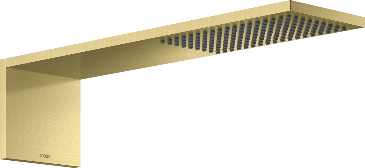 Overhead shower module 110/220 1jet