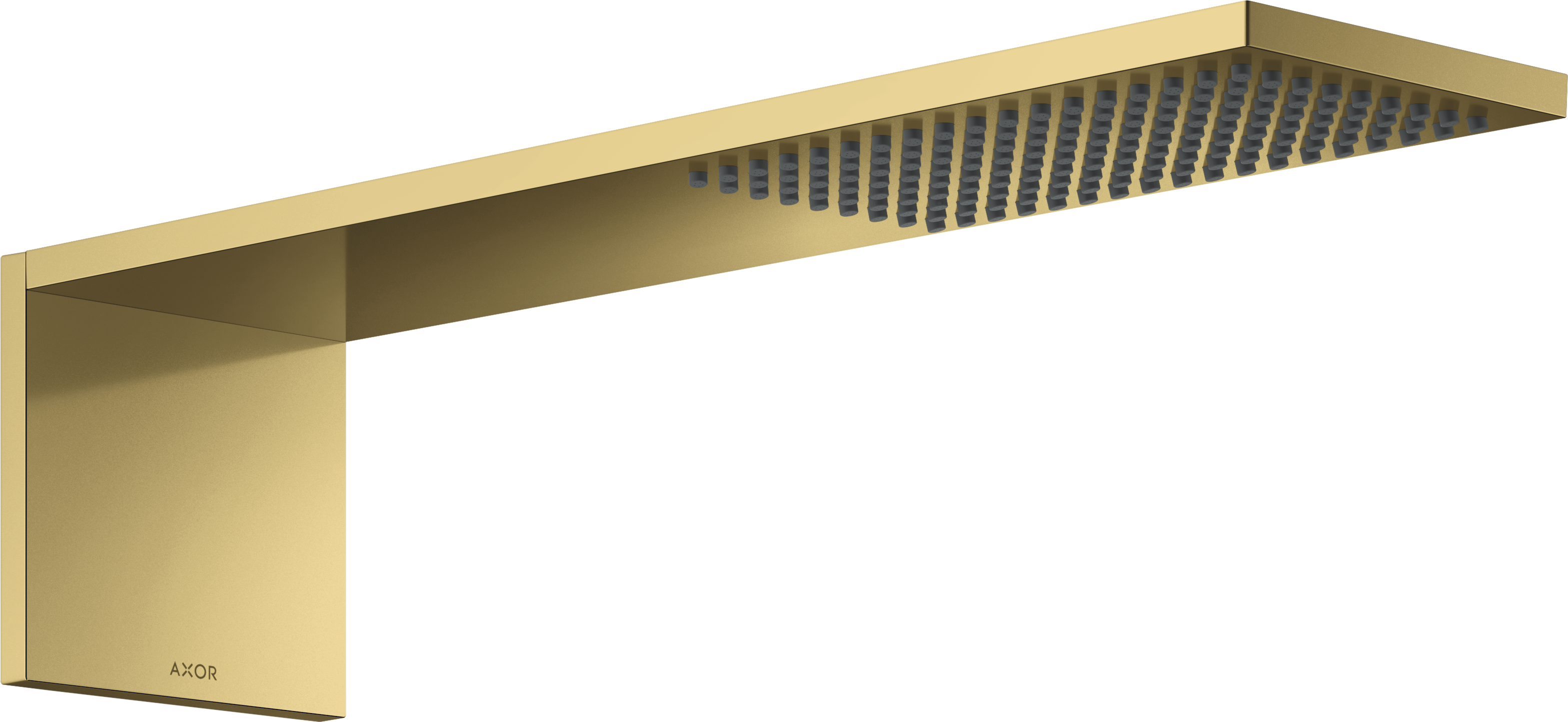 Overhead shower module 110/220 1jet