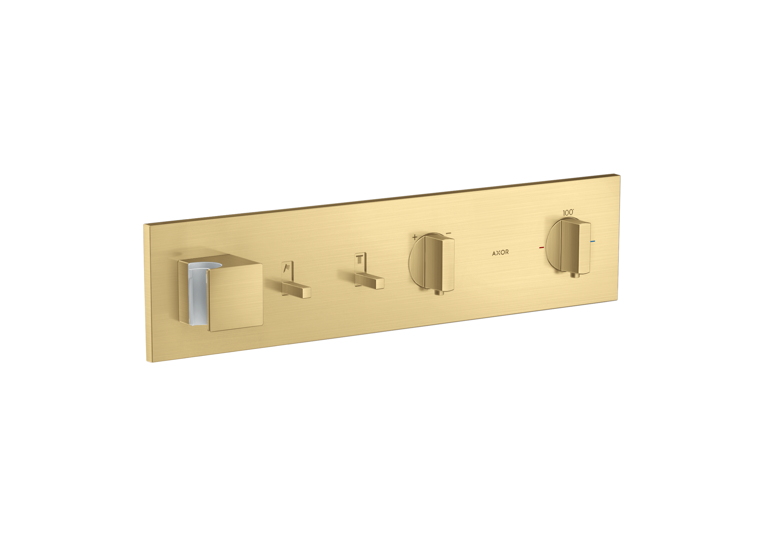 Thermostatic Module Trim for 2 Functions