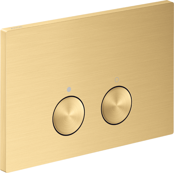 Plaque de commande WC
