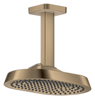 Overhead shower 250/160 1jet with ceiling connector Overhead shower 250/160 1jet with ceiling connector