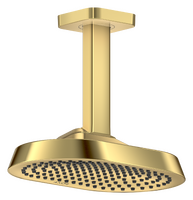 Overhead shower 250/160 1jet with ceiling connector Overhead shower 250/160 1jet with ceiling connector
