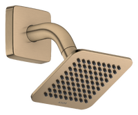 Overhead shower 120/120 1jet EcoSmart with shower arm