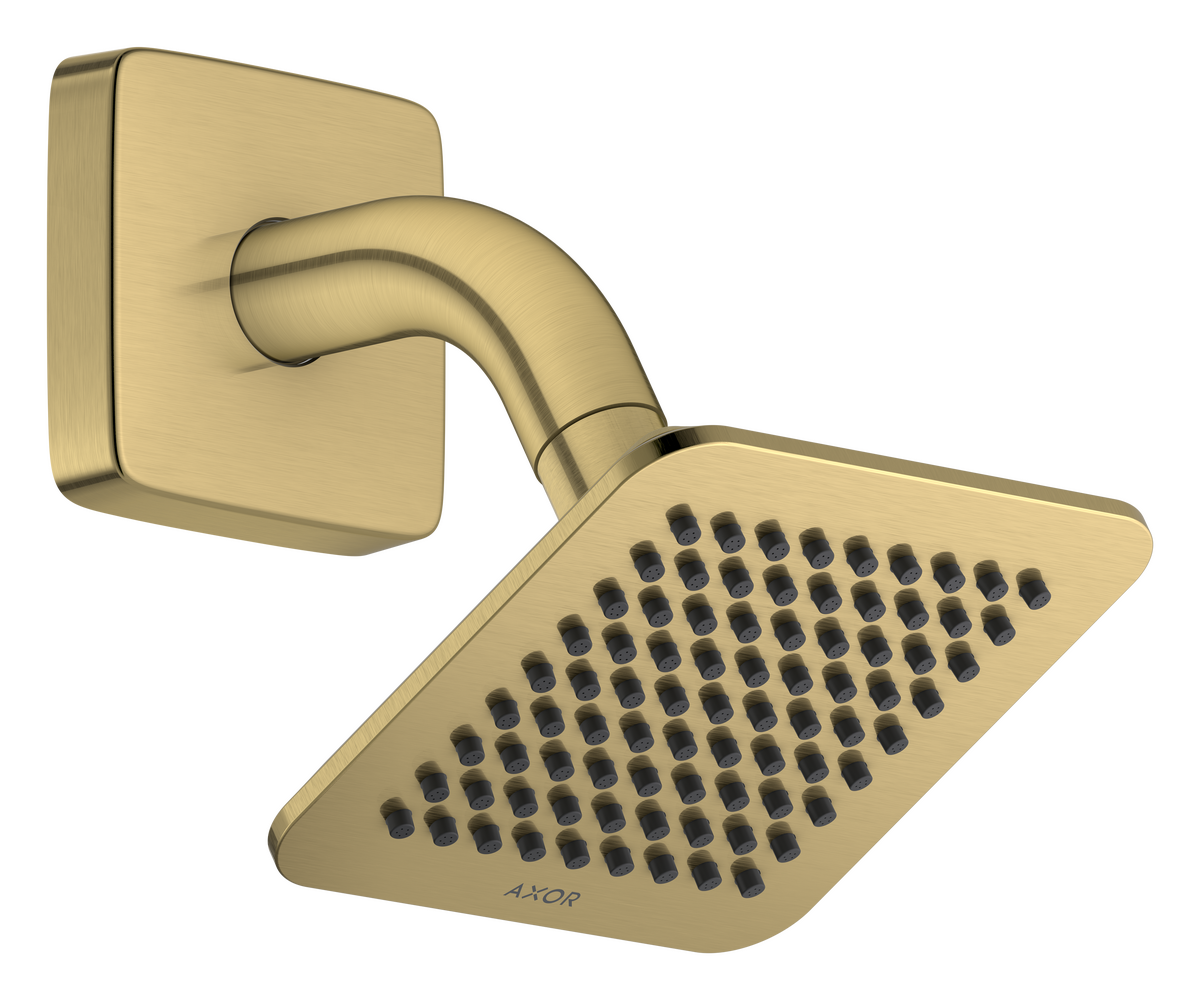Overhead shower 120/120 1jet EcoSmart with shower arm