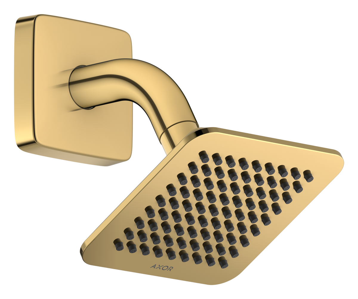 Overhead shower 120/120 1jet EcoSmart with shower arm