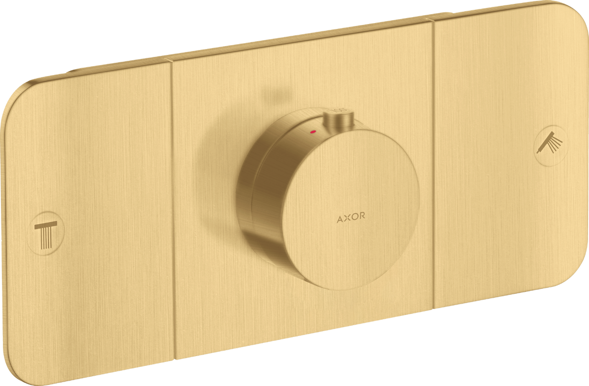 Thermostatic Module Trim for 2 Functions