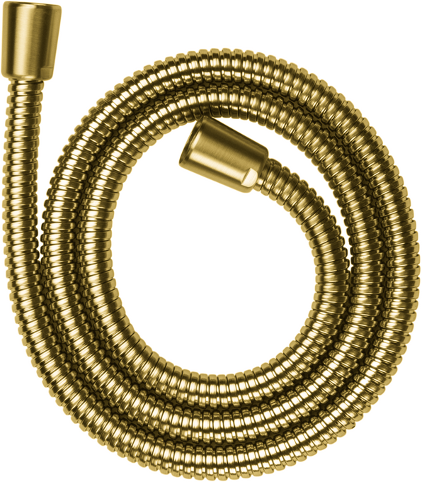 AXOR ShowerSolutions Flexible de douche 1,25 m, métallique — 28112250