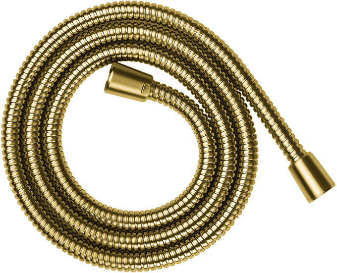 AXOR ShowerSolutions Flexible de douche 1,60 m, métallique — 28116250