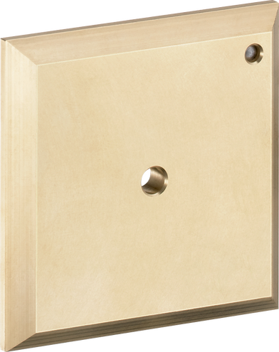 Flushing board iControl