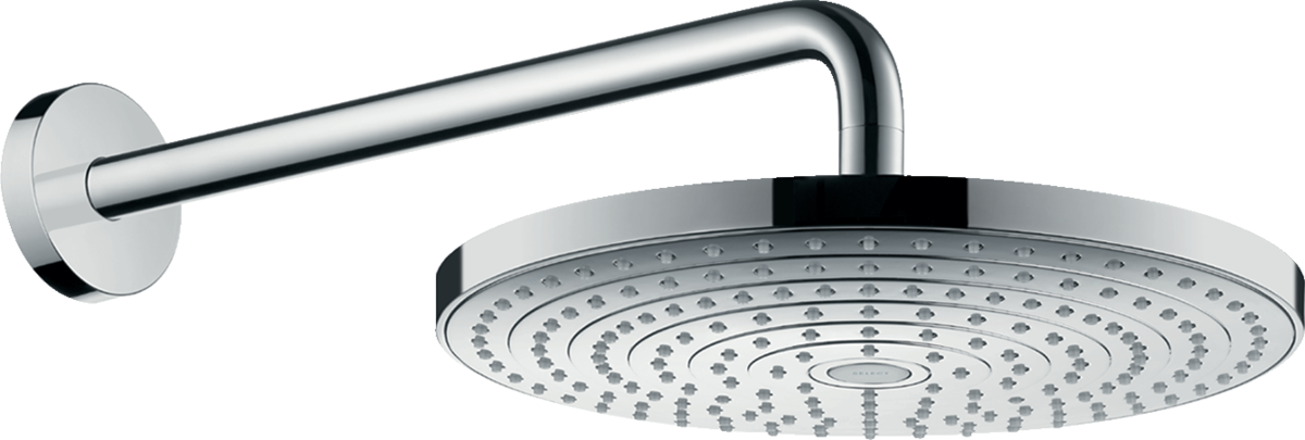 HANSGROHE Raindance 27607000 Ducha fija con brazo