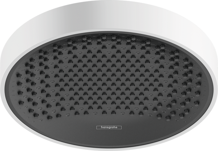 Overhead shower 250 1jet EcoSmart