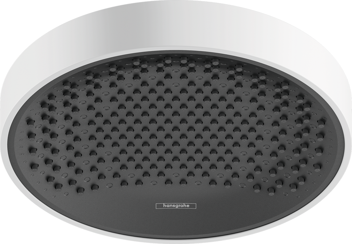 Overhead shower 250 1jet EcoSmart