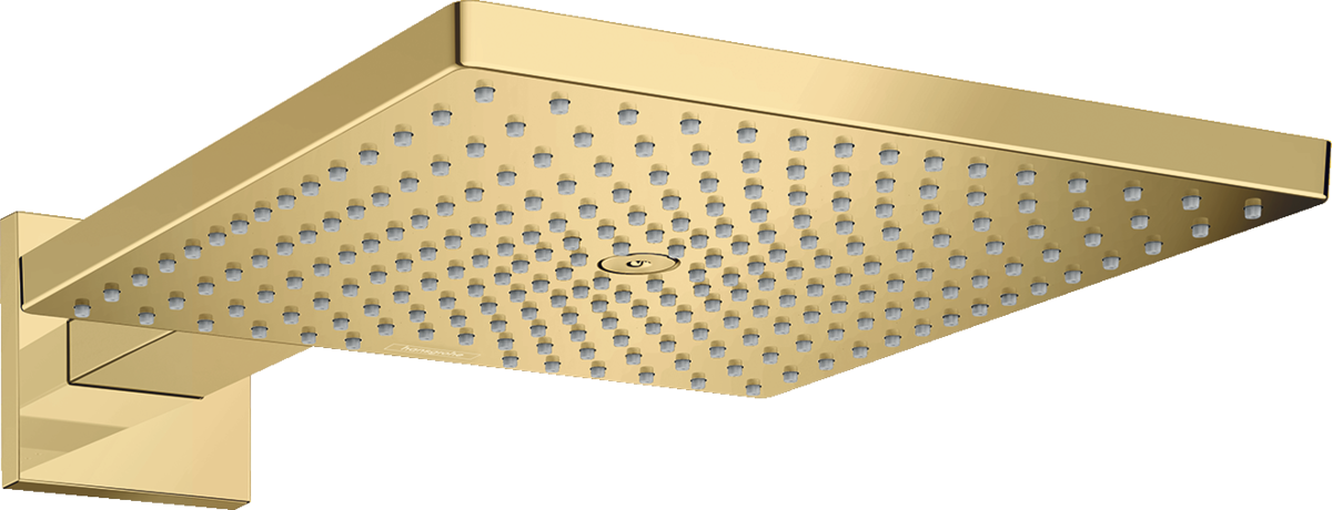 Overhead shower 300 1jet with shower arm