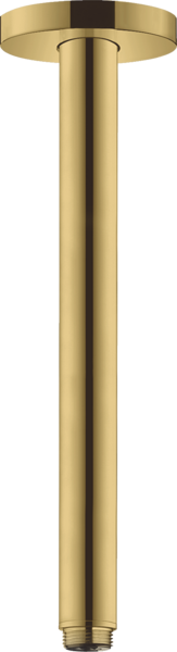 Douchearm plafond S 300 mm