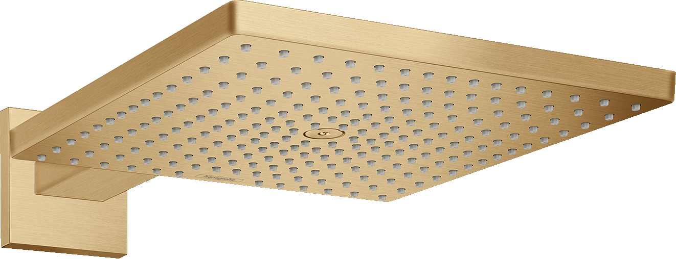 Douche de tête 300 1jet avec bras de douche Douche de tête 300 1jet avec bras de douche