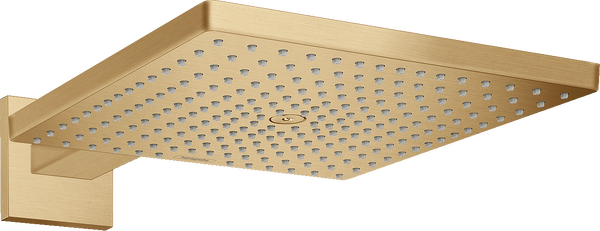 Overhead shower 300 1jet with shower arm