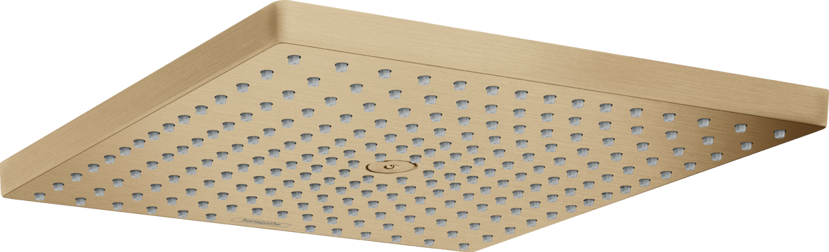 Showerhead 300 1-Jet