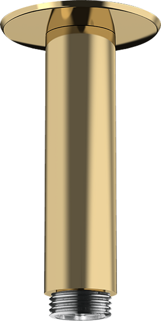 Duscharm för takmontage 10 cm