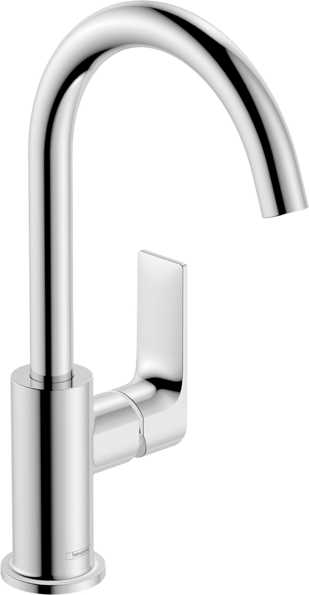 hansgrohe Mezcladores para lavabo: Rebris E, Mezclador monomando de lavabo  110 con teleducha de bidé y flexo de ducha 160 cm sin vaciador, ref.  72216000