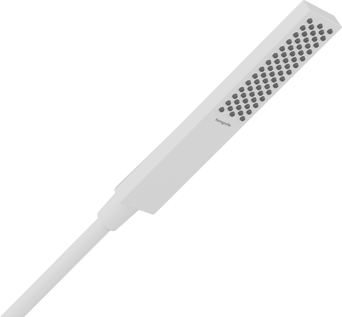 Stabhandbrause 100 1jet EcoSmart