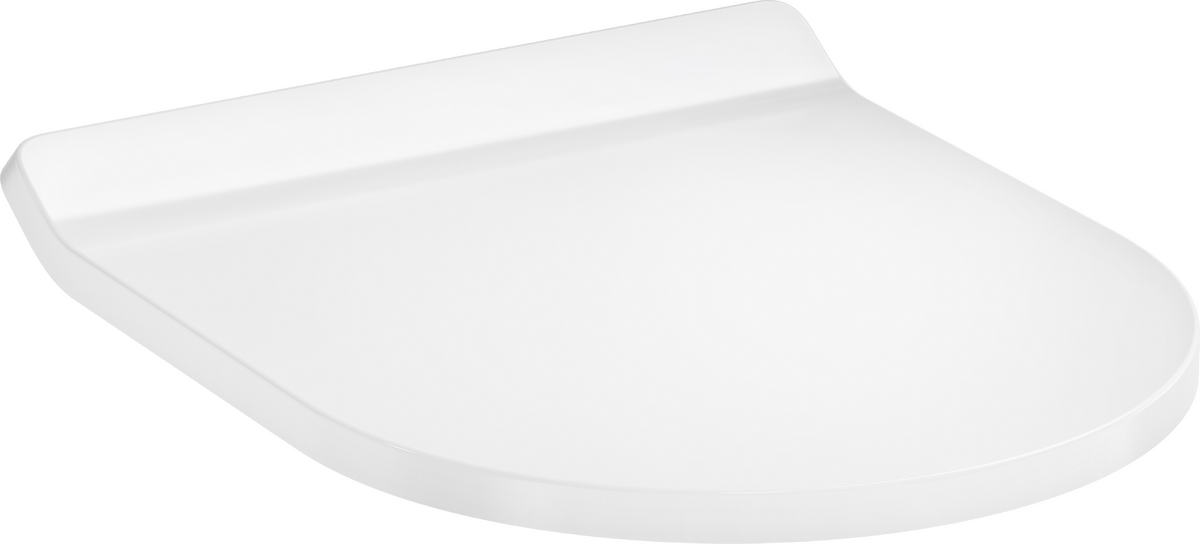 WC seat and cover with SoftClose and QuickRelease