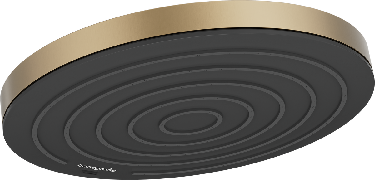 Ducha fija 260 1jet EcoSmart