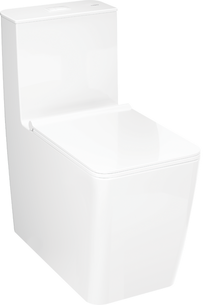 Floorstanding WC one piece with vertical outlet 305 rimless