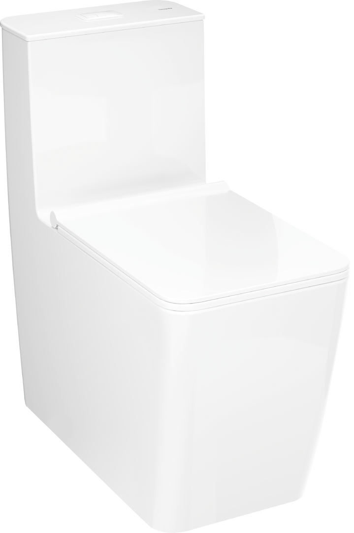 Floorstanding WC one piece with vertical outlet 305 rimless